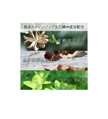 ヘアスカルプディープマスク/TIARERA/ヘアマスク・ヘアパックを使ったクチコミ(4枚目)