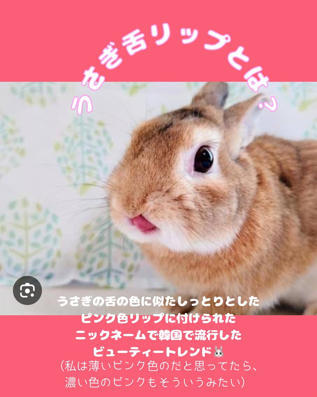 リップヒップグロッシーリップティント #24 インスタグラムゴットネス/LIPHIP(リップヒップ)/口紅を使ったクチコミ（2枚目）