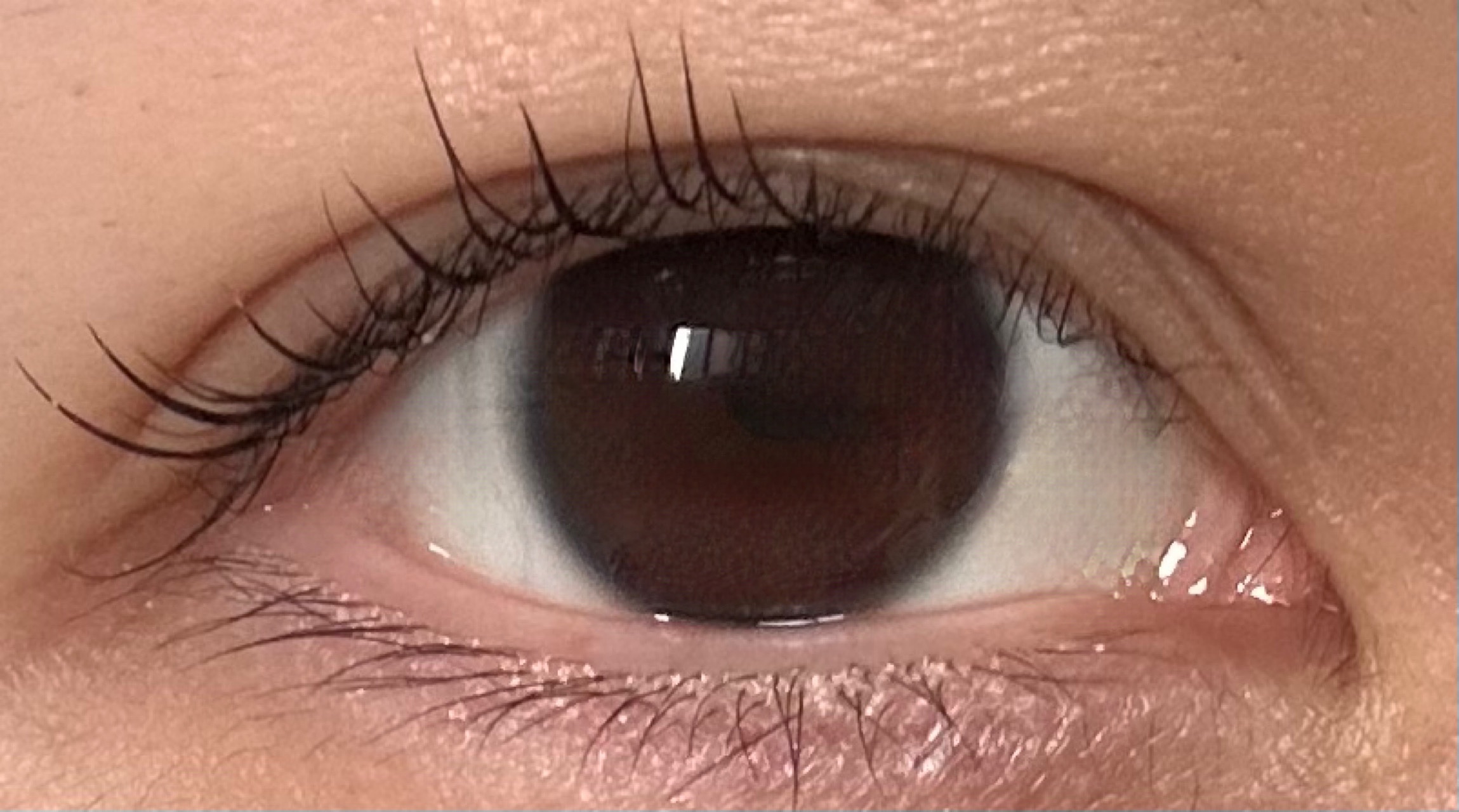 スカルプD アイラッシュセラム プレミアム/アンファー(スカルプD)/まつげ美容液を使ったクチコミ（2枚目）