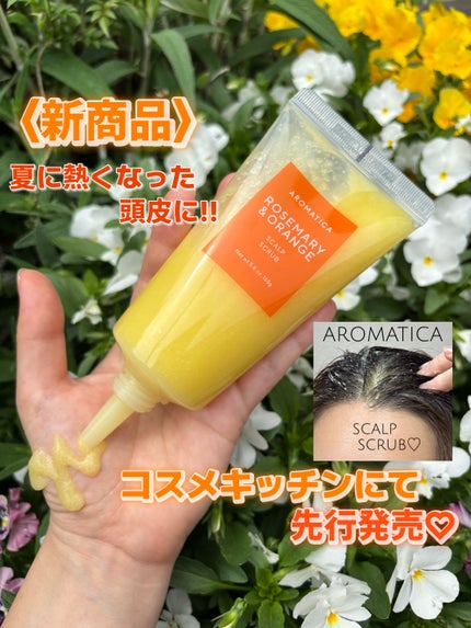 ローズマリー スカルプ スクラブ/AROMATICA/ヘッドスクラブを使ったクチコミ(1枚目)