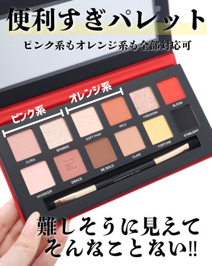 エクスプローラ12色 動物アイシャドウパレット/PERFECT DIARY/アイシャドウパレットを使ったクチコミ(2枚目)