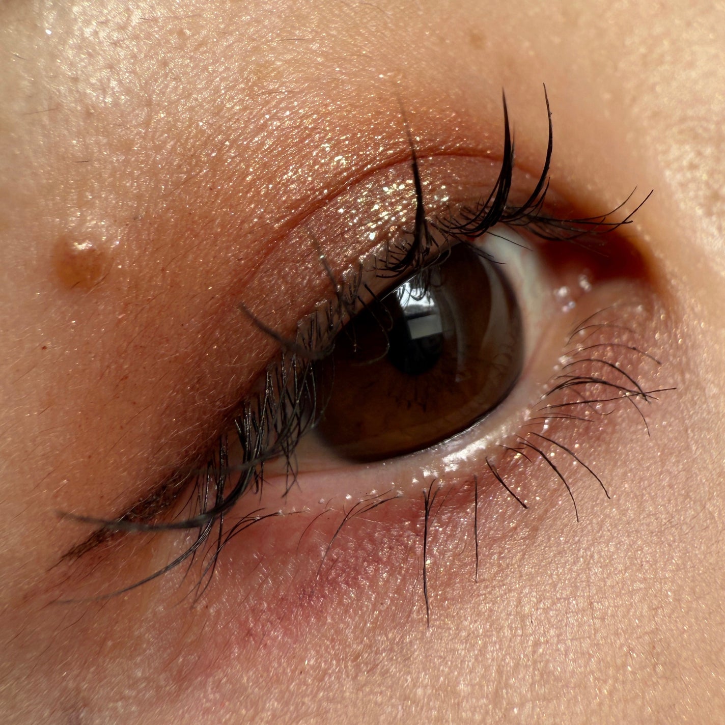 ケイト ザ アイカラー/KATE/単色アイシャドウを使ったクチコミ(1枚目)