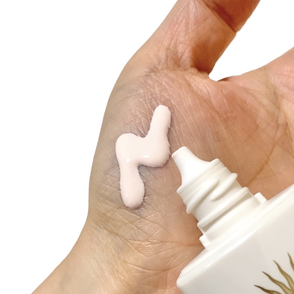 アネッサ　デイセラム　N/アネッサ/化粧下地を使ったクチコミ（3枚目）