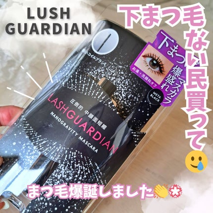 ラッシュガーディアン ナノグラヴィティマスカラ/LASHGUARDIAN/マスカラを使ったクチコミ(1枚目)