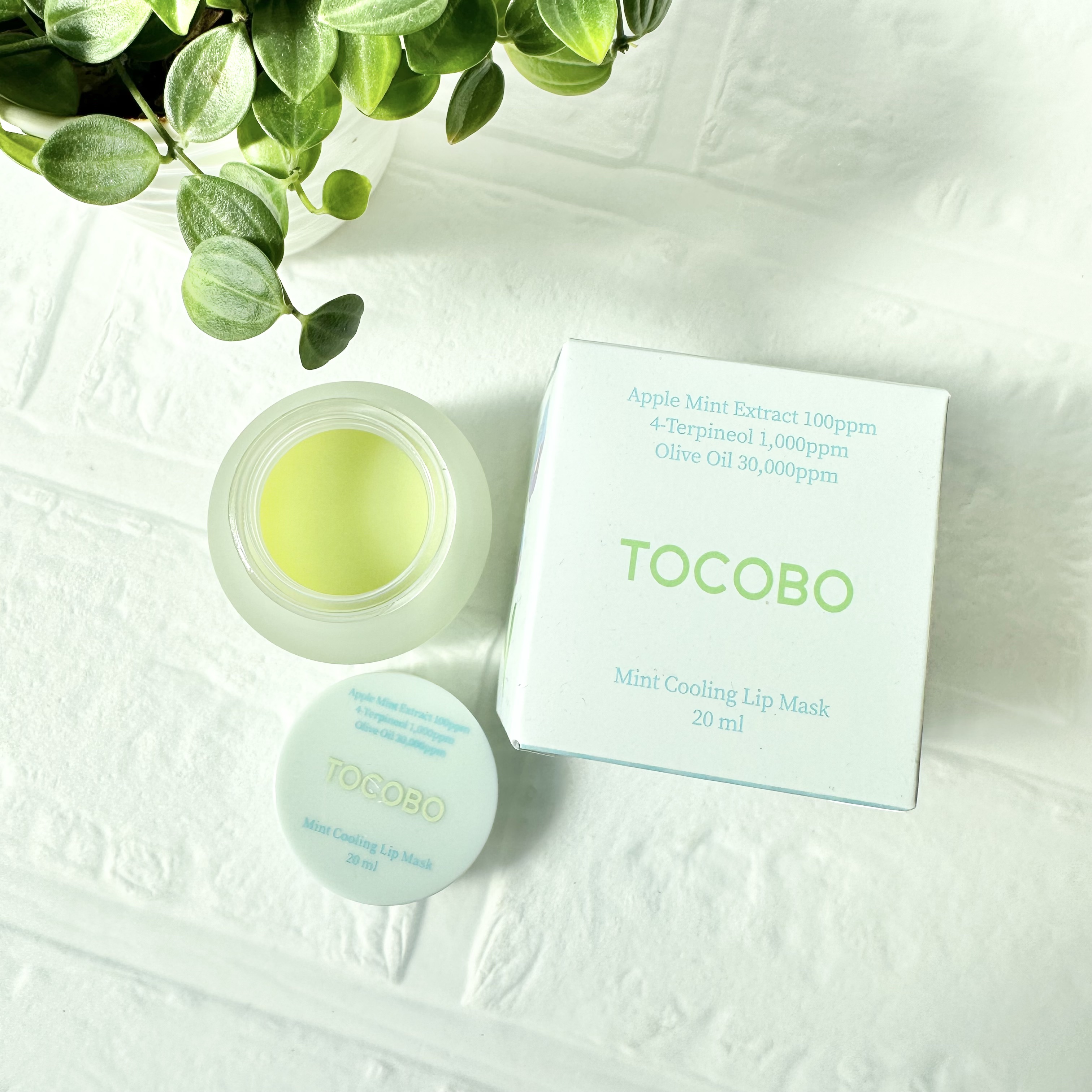 ミントクーリングリップマスク/TOCOBO/リップマスクを使ったクチコミ（2枚目）