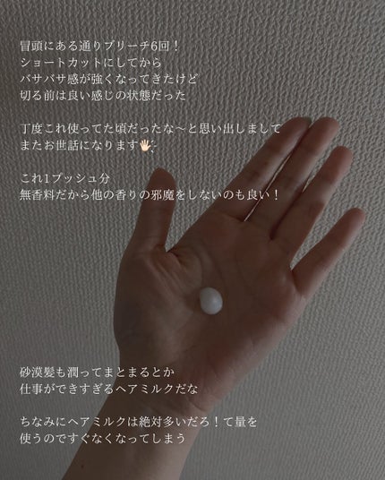 プリュスオー ハイドロミルク/plus eau/ヘアミルクを使ったクチコミ(3枚目)