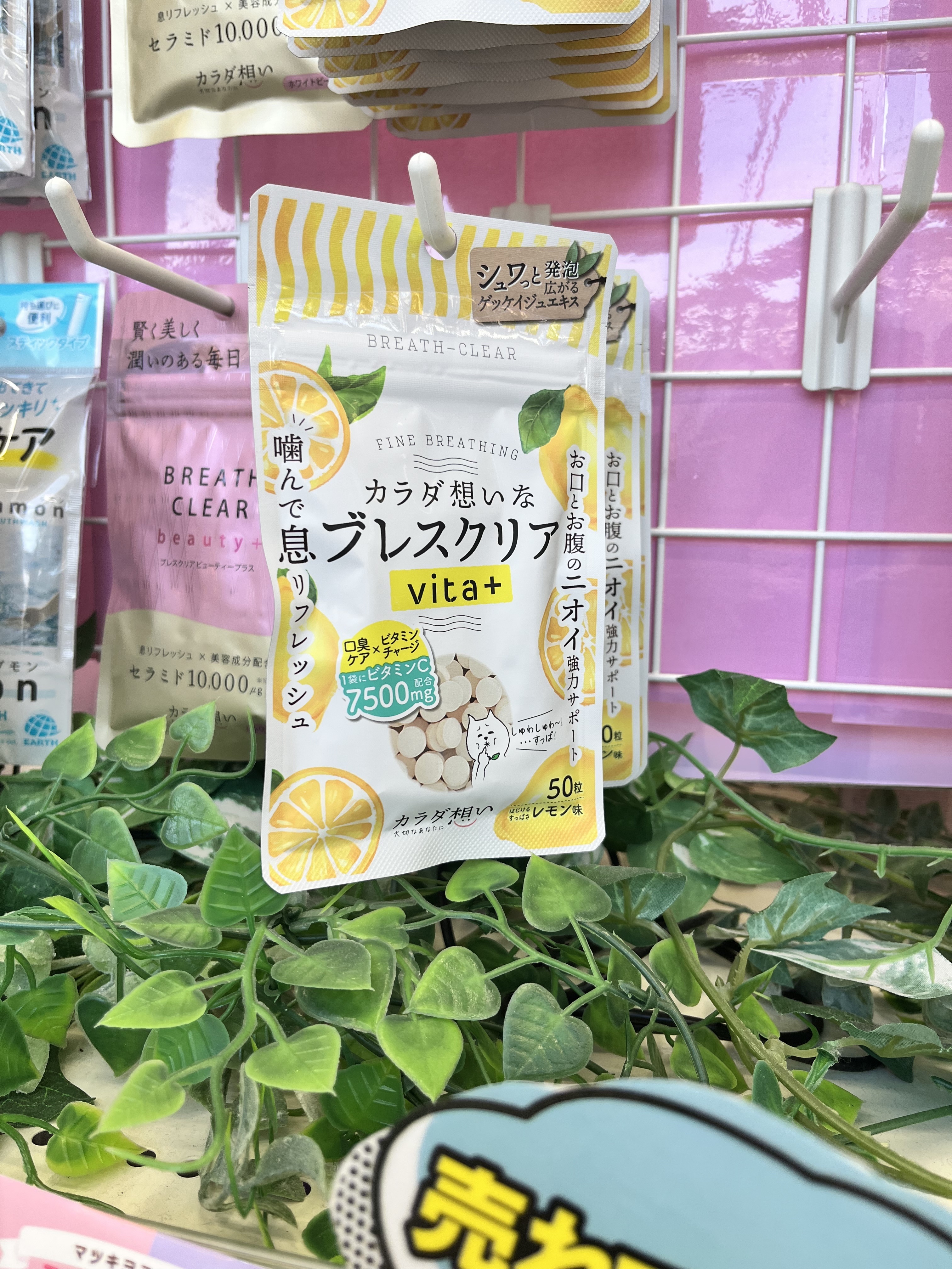 ブレスクリアvita+/カラダ想い/美容サプリメントを使ったクチコミ（1枚目）