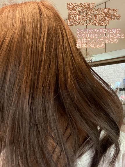 ã²ãŸããð»Girasol on LIPS ã30æ³ã«ãªã£ãŠãã£ãšé«ªæãåºãã人éã®3åç®ã®ã«ã©ãŒã®æ¢ãæ¹ãš..ãïŒ4æç®ïŒ