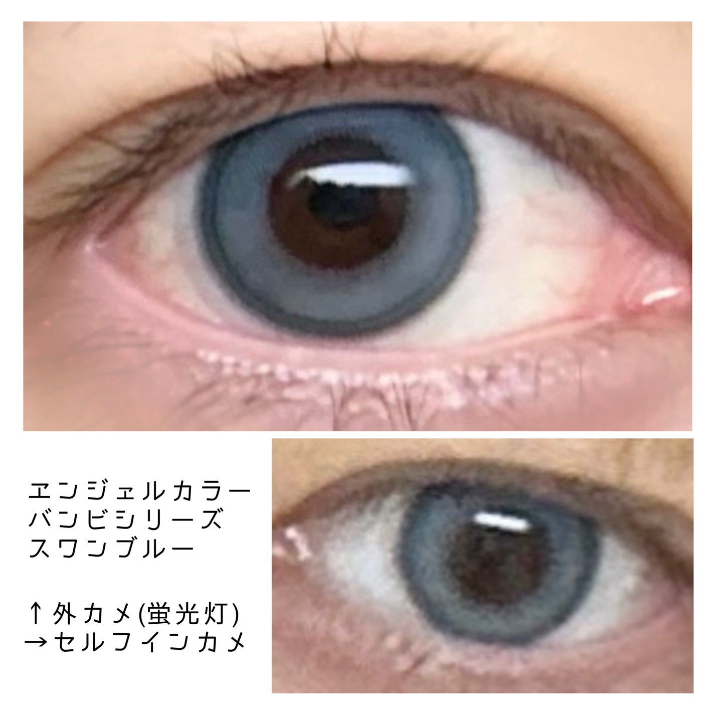 Angelcolor Bambi Series 1day /AngelColor/ワンデー(1DAY)カラコンを使ったクチコミ(1枚目)