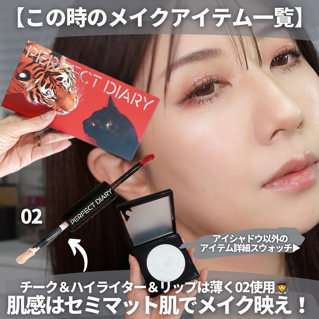 talico on LIPS 「【PDの動物パレット新色はトラ&クロネコ🐅🐈⬛】ネコ科大好..」(7枚目)