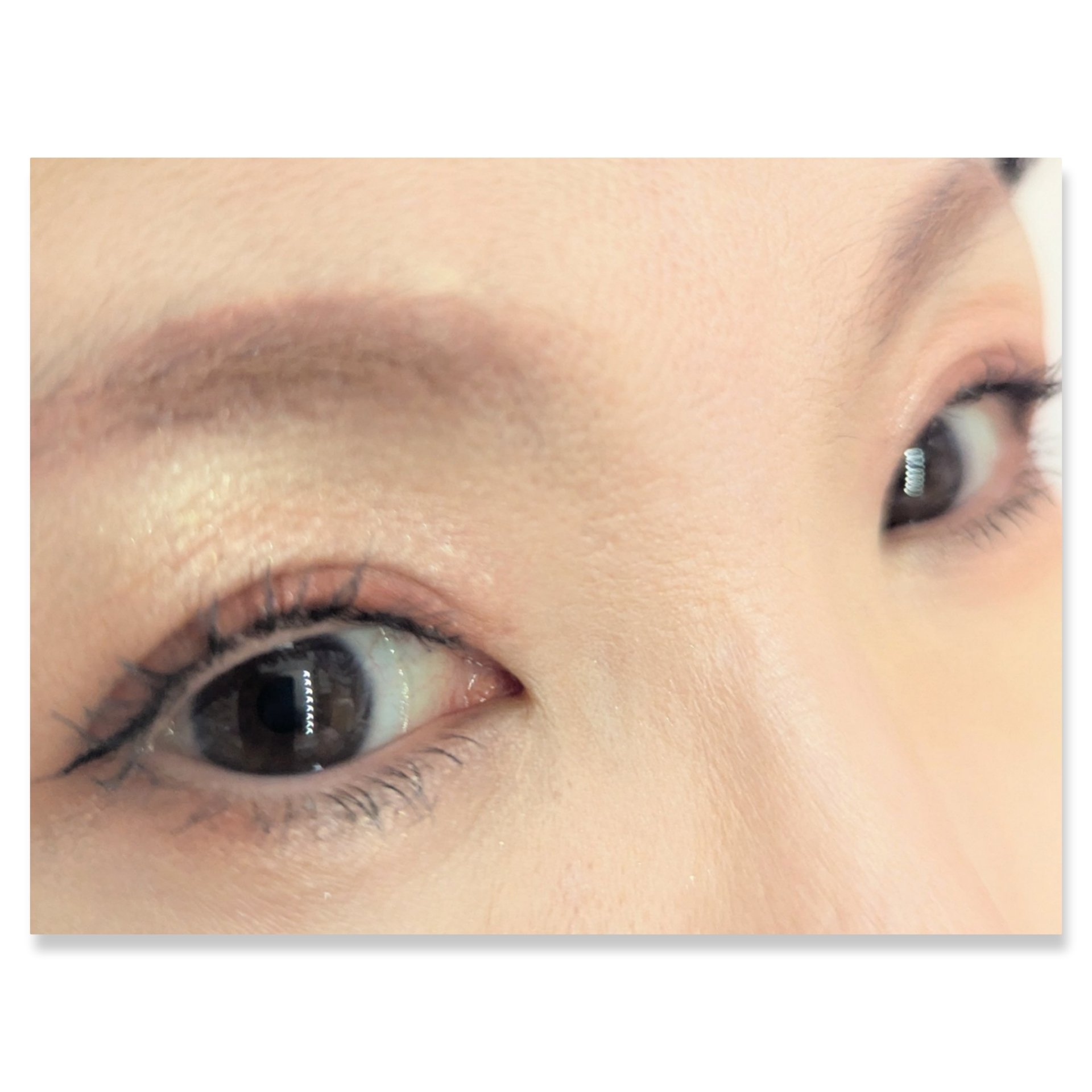 シャルマン・フルラージュ アイシャドウ/Witch's Pouch/アイシャドウパレットを使ったクチコミ（2枚目）