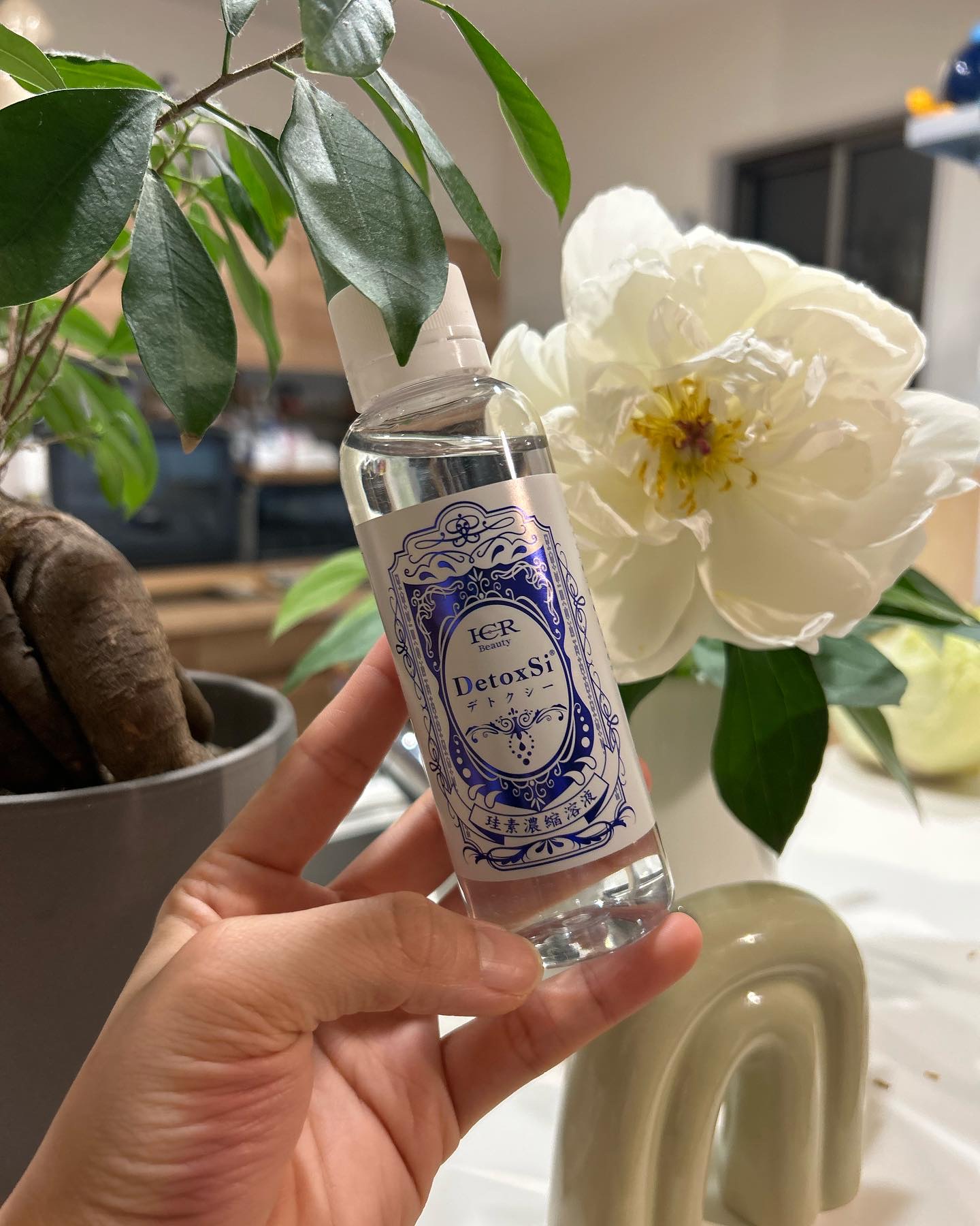 ICR Beauty Detoxsi デトクシー/CBS cosmetics/美容サプリメントを使ったクチコミ（3枚目）