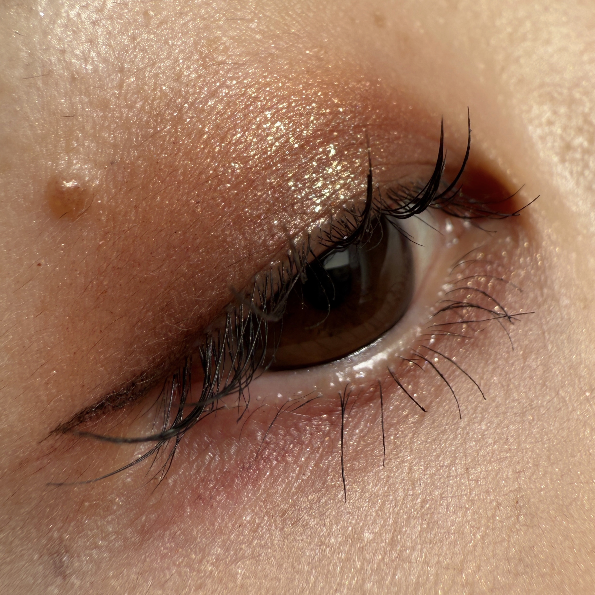 エレガンス ラズル スターアイカラー/エレガンス ラズル /単色アイシャドウを使ったクチコミ（2枚目）