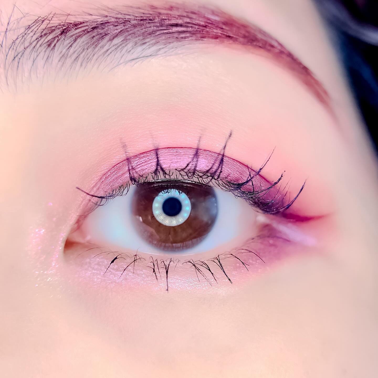 【旧】サンク クルール クチュール/Dior/アイシャドウパレットを使ったクチコミ（3枚目）