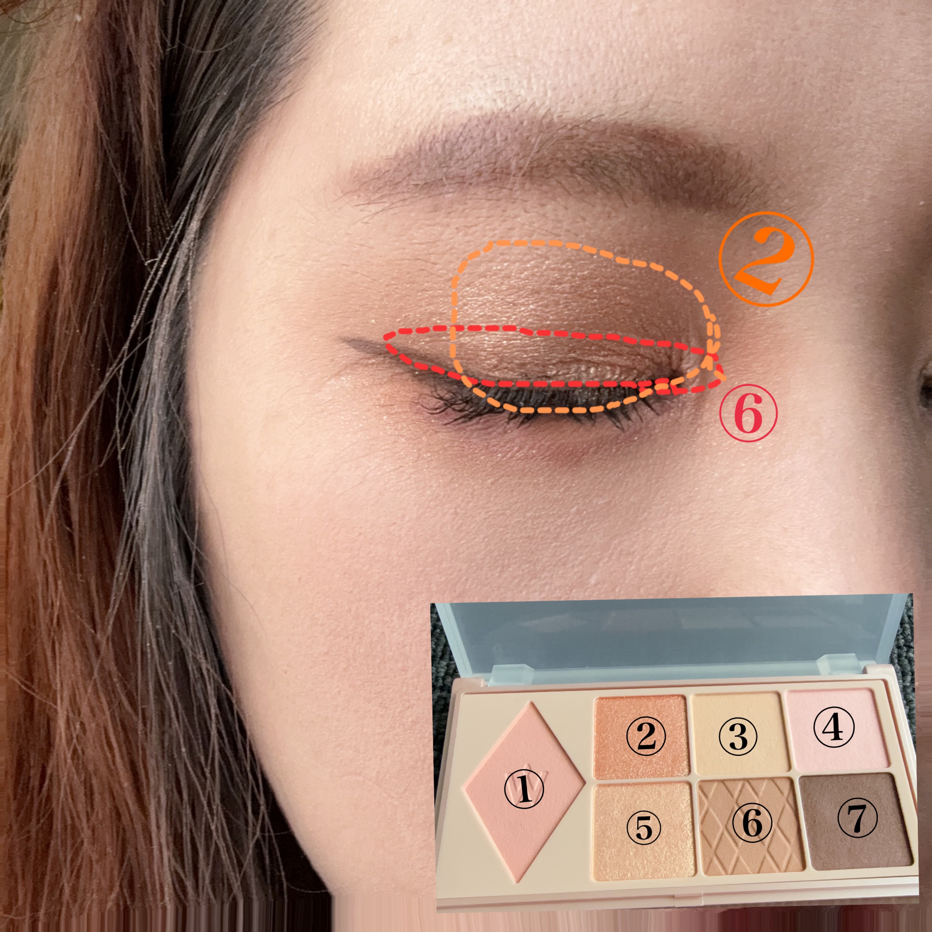 ウォンジョンヨ Ｗ デイリームードアップパレット /Wonjungyo/アイシャドウパレットを使ったクチコミ（2枚目）