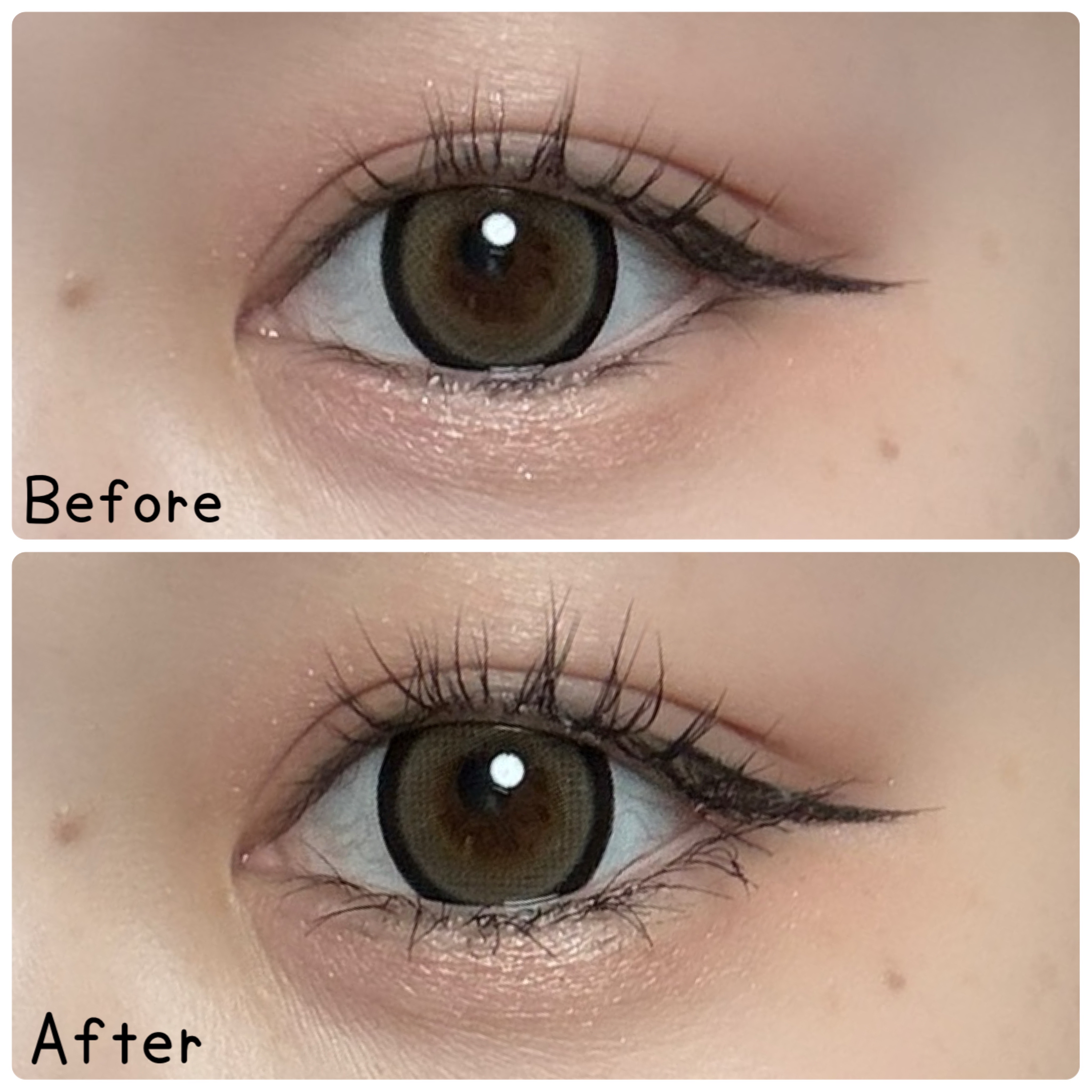 eyelash 10mm deep yellow/CCAM BBAK/つけまつげを使ったクチコミ（3枚目）