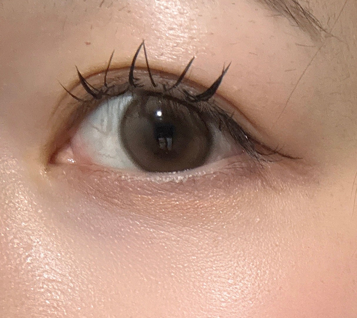 chiffon/meilly/ワンデー(1DAY)カラコンを使ったクチコミ(3枚目)