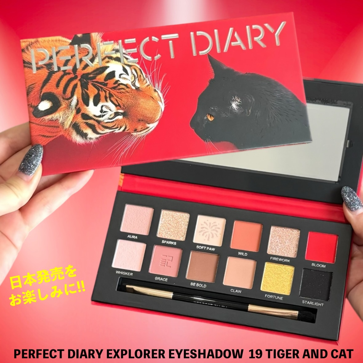 2025年夏新作アイシャドウパレット】エクスプローラ12色 動物アイ