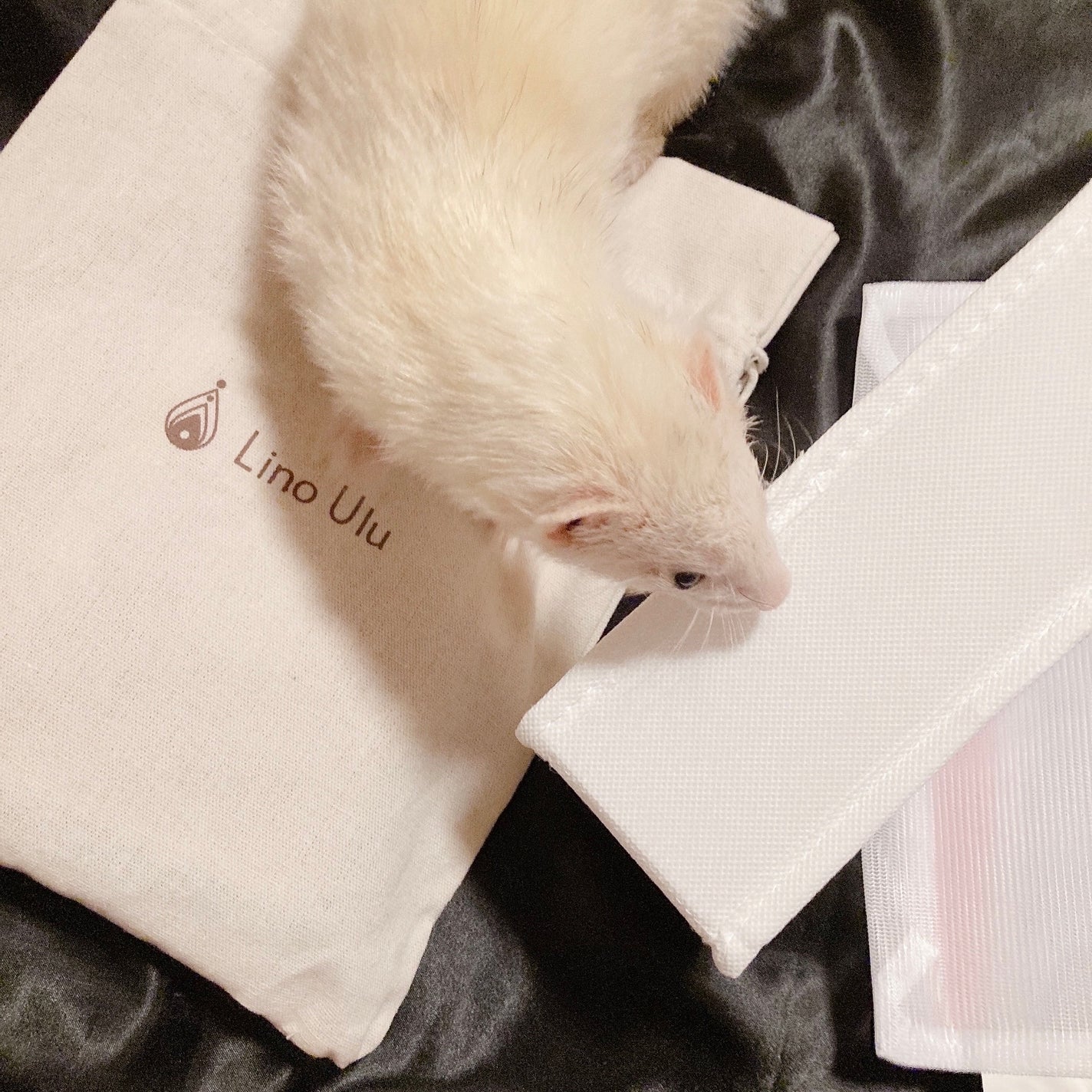 温活美人ショーツ/LinoUlu/その他生理用品を使ったクチコミ(7枚目)