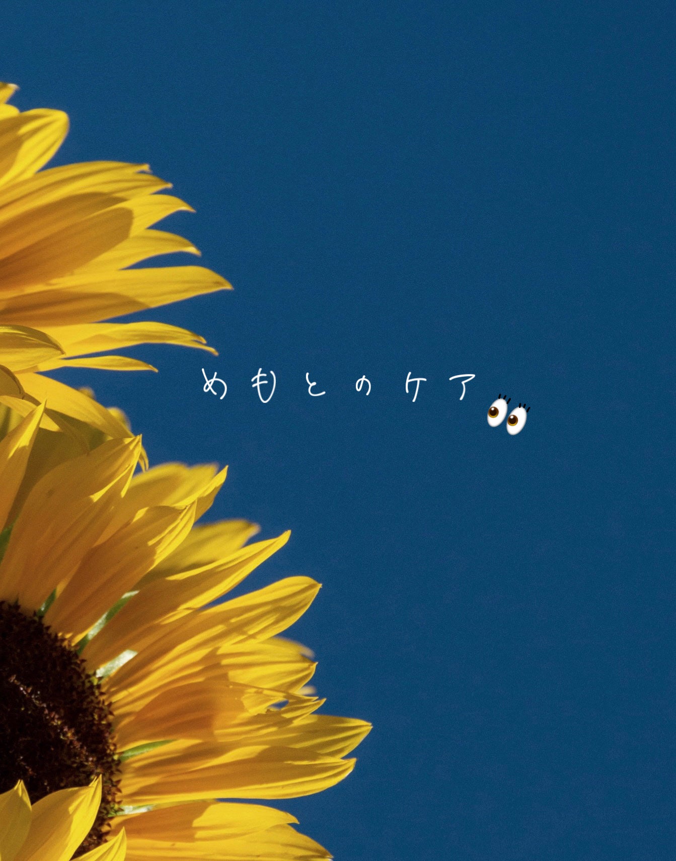 プリティー フェイスL 3本入/貝印/シェーバーを使ったクチコミ(1枚目)