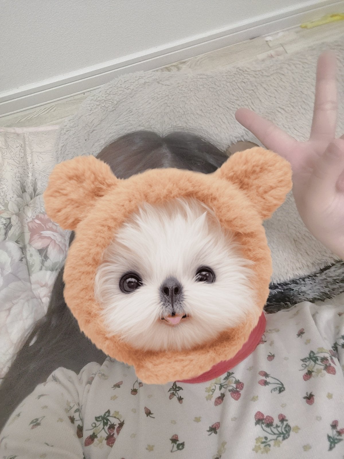 萌香(。♡‿♡。) on LIPS 「こんにちはー!パイナップル🍍です!初投稿で自撮りしてみましたー..」(1枚目)