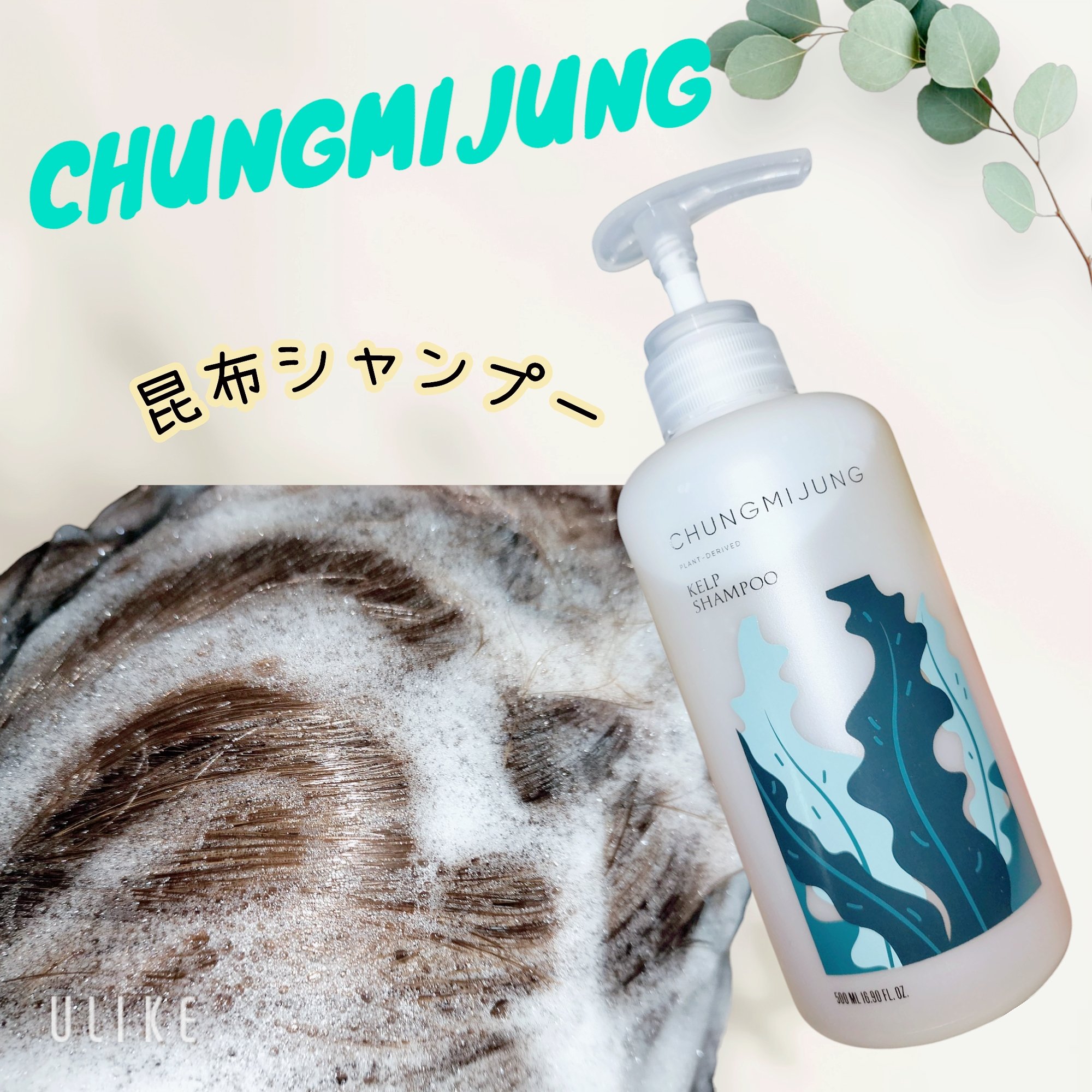 シエムゼ 昆布シャンプーのクチコミ「おはようございます🍋marunekoです😉👍✨
5月3日土曜日🐾9時50分🐾晴れ☀


#PR.....」（2枚目）