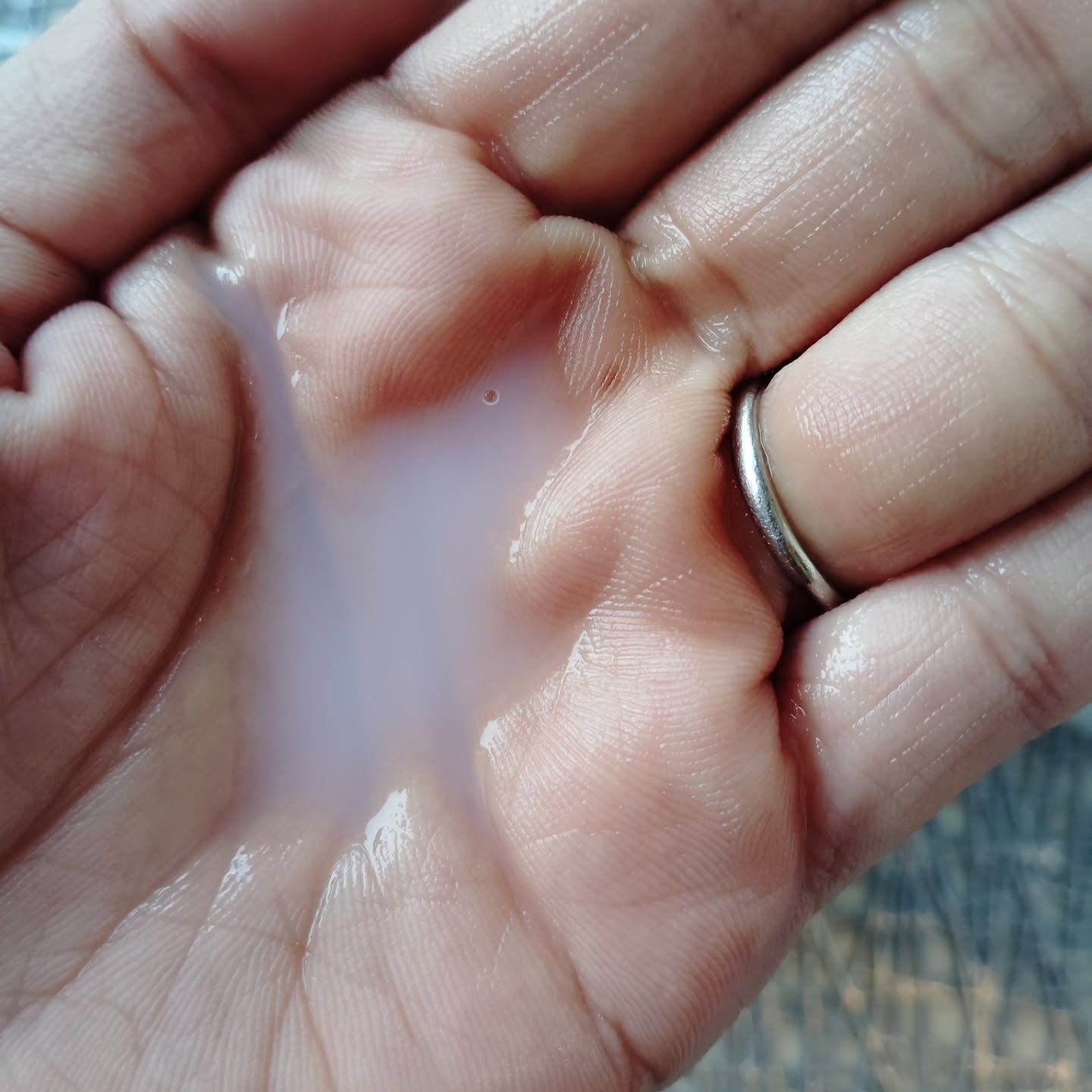 水分バリアトナー/LANBELLE/化粧水を使ったクチコミ（3枚目）