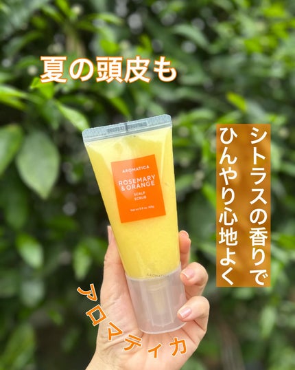 ローズマリー&オレンジ スカルプスクラブ/AROMATICA/ヘッドスクラブを使ったクチコミ(1枚目)