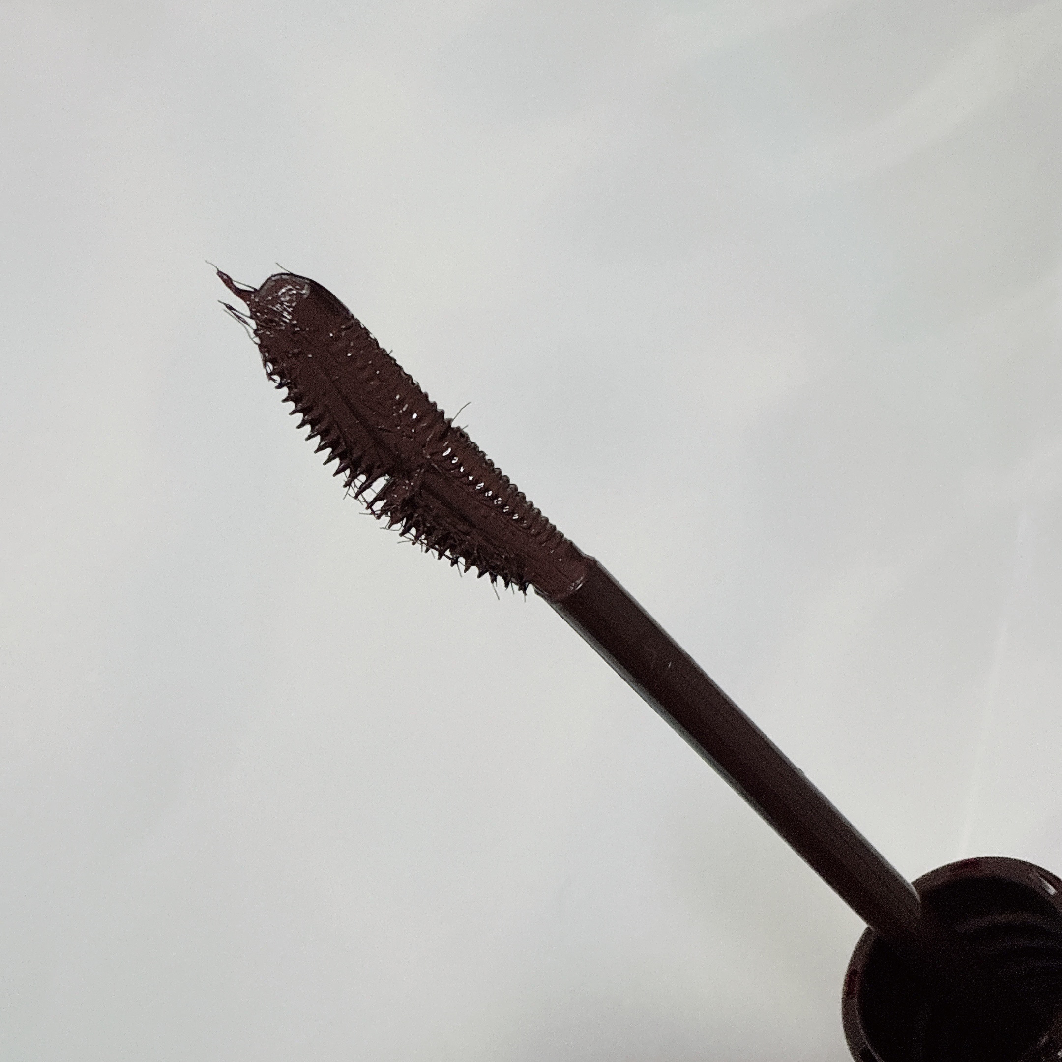 ラッシュエキスパンダー 孔雀ロング BR666 アンバーブラウン 「女帝」/MAJOLICA MAJORCA/マスカラを使ったクチコミ（2枚目）