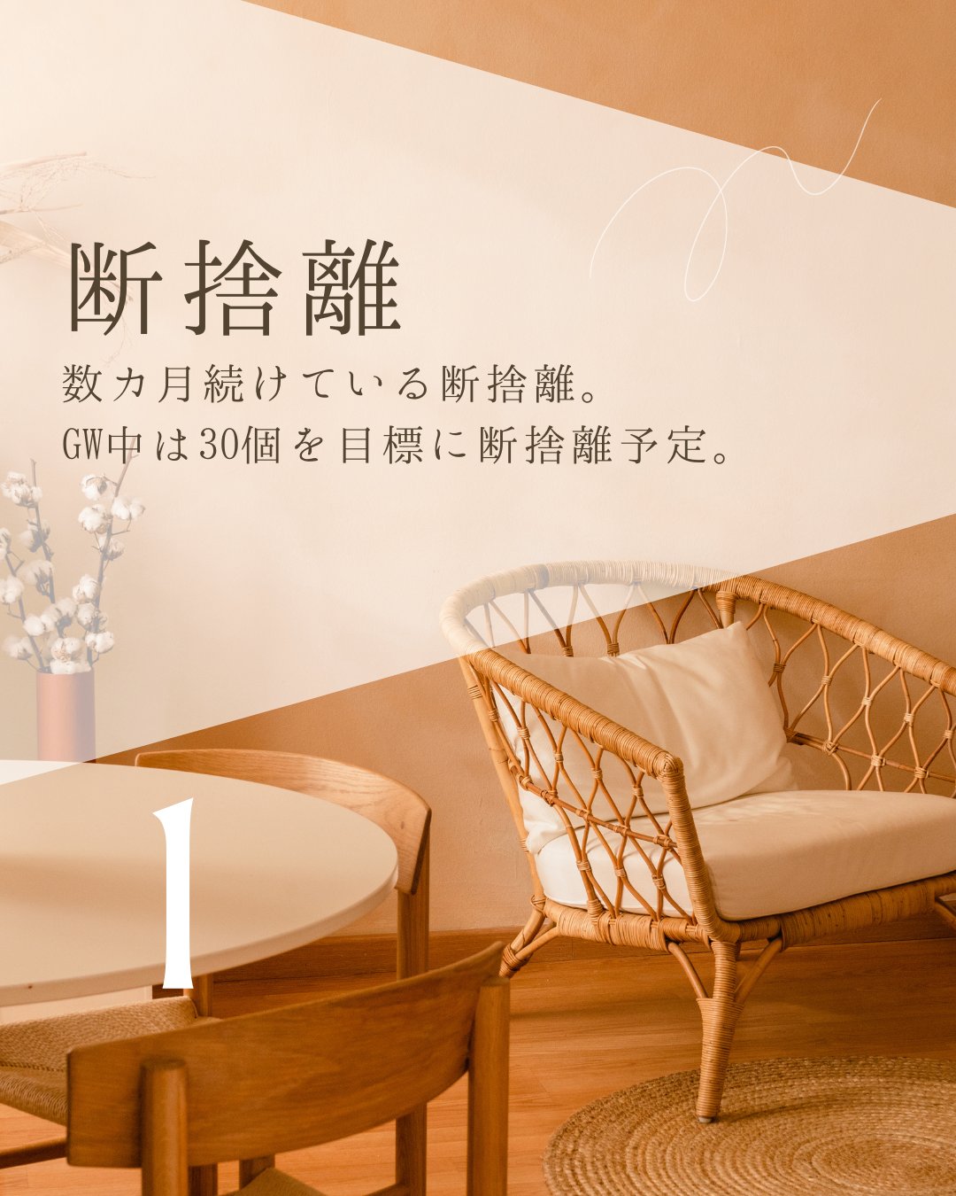 ツイストエアロステッパーPremium 木目調ステッパー SP-600/東急スポーツ OASIS/その他フィットネスを使ったクチコミ（2枚目）