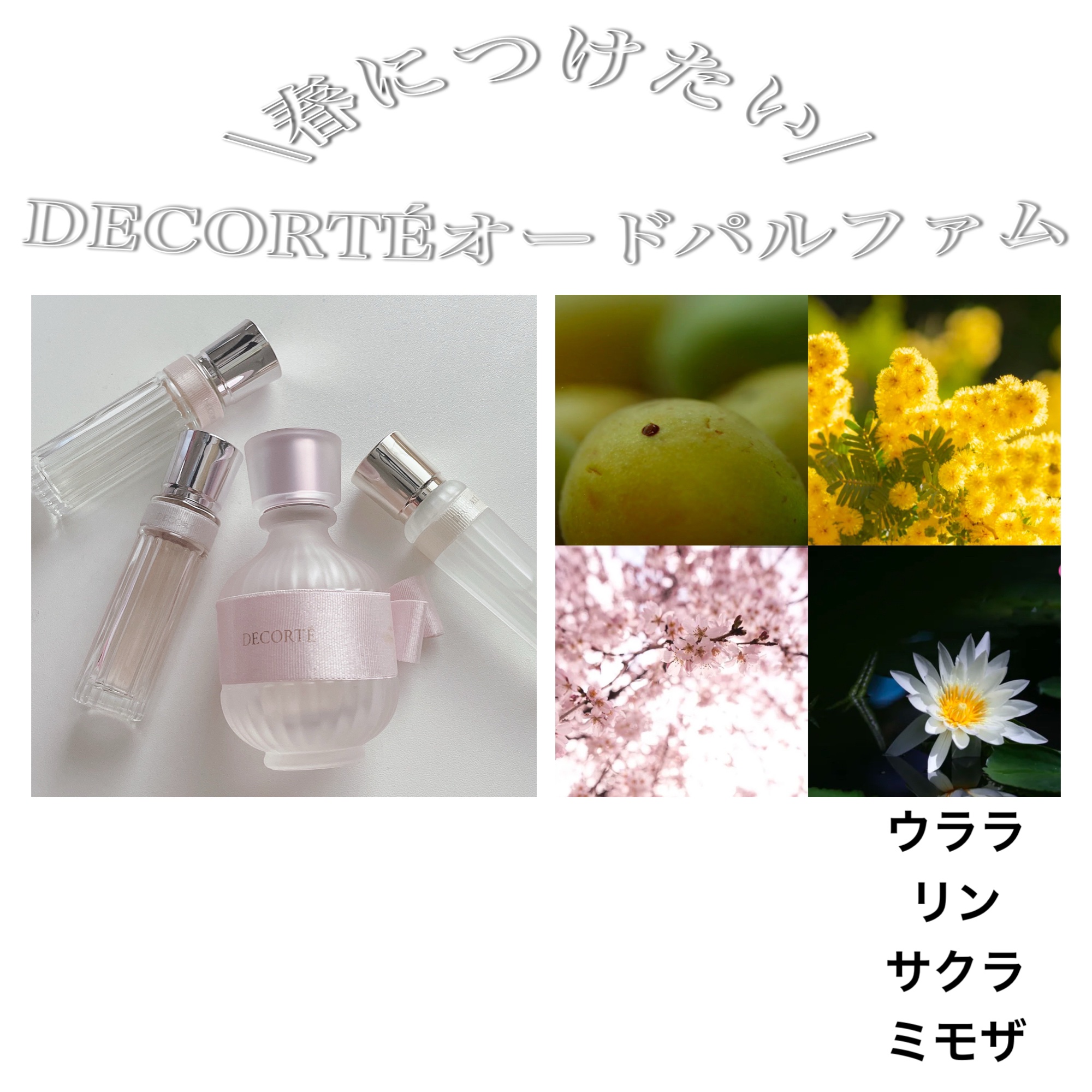 キモノ　ウララ　オードトワレ/DECORTÉ/香水(レディース)を使ったクチコミ（1枚目）
