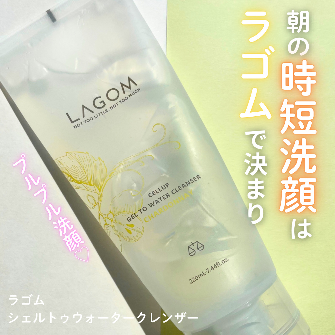 ジェルトゥウォーター クレンザー（CH）/LAGOM /その他洗顔料を使ったクチコミ（1枚目）