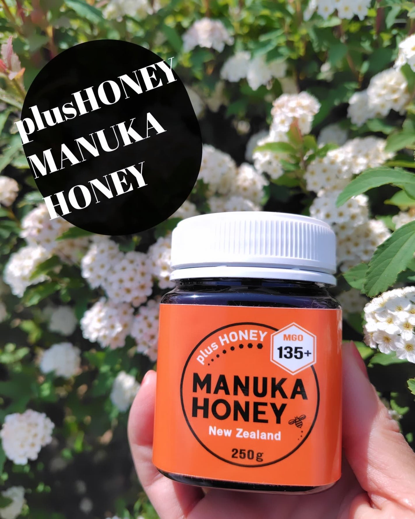 ひろちゃん on LIPS 「ニュージーランド産マヌカハニー美容と健康をめざすひろちゃんです..」(1枚目)