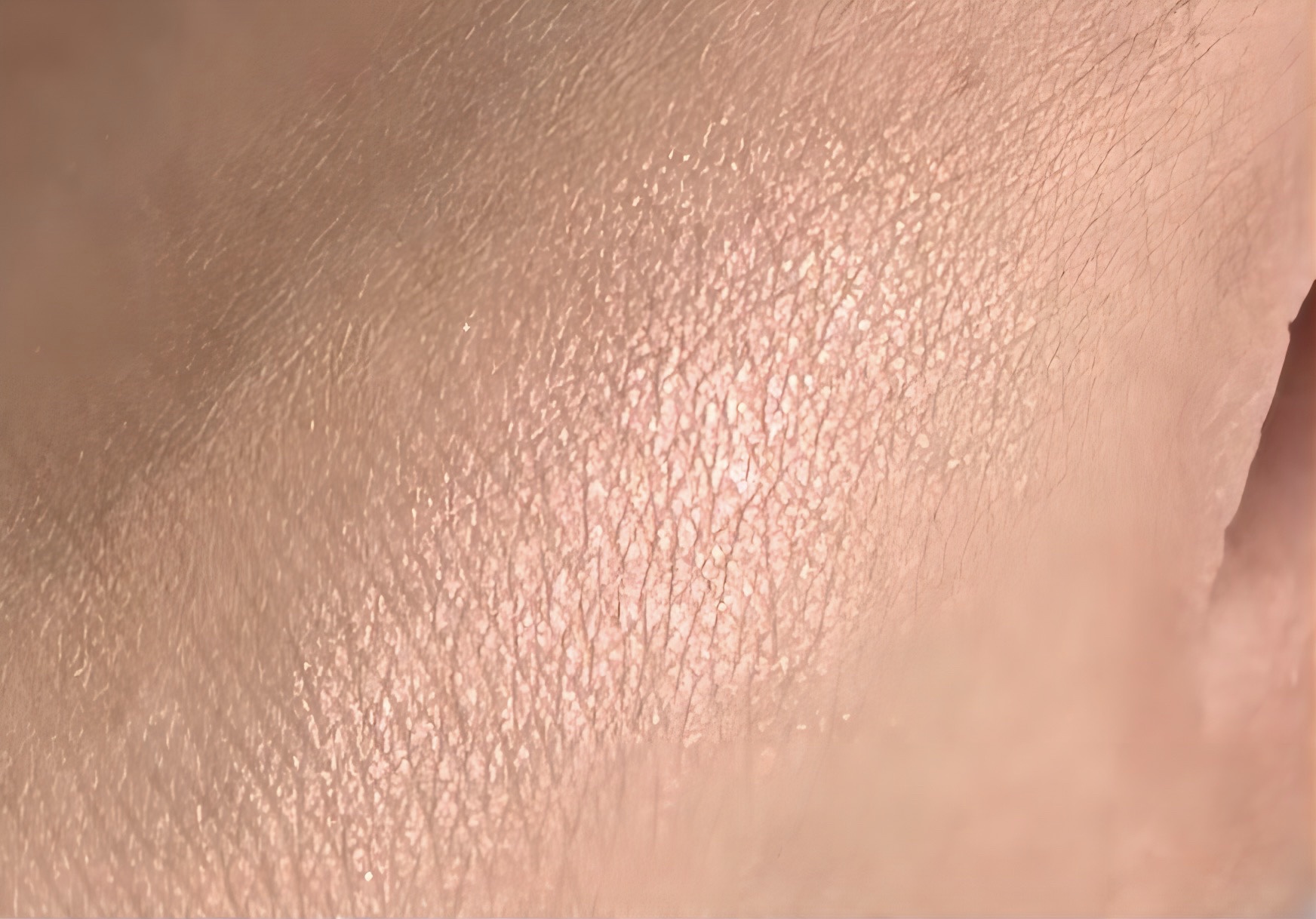 ブルーミングシングルシャドウ 05 ピーチコンフェッティ/dasique/単色アイシャドウを使ったクチコミ（2枚目）