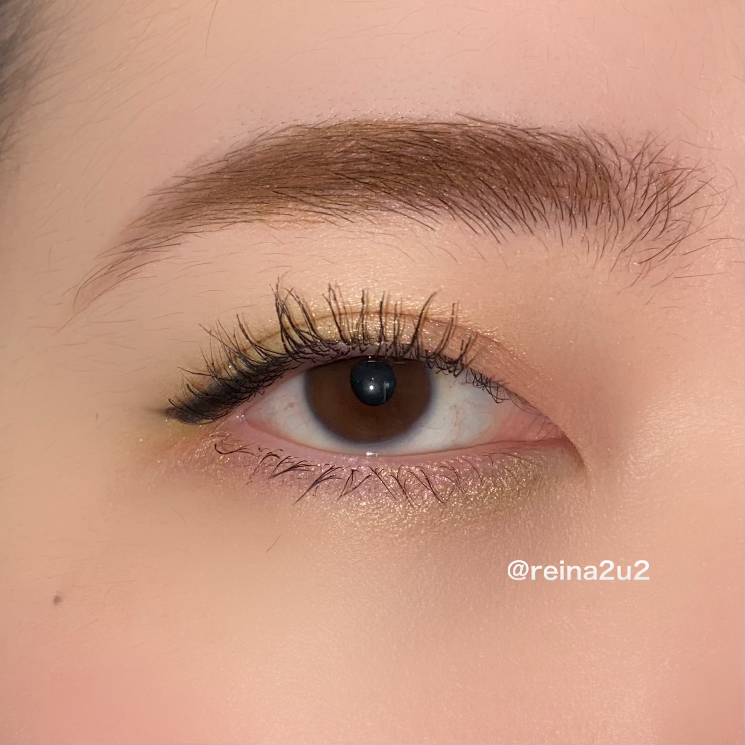 EYESHADOW SWEET DIA/Ameli/単色アイシャドウを使ったクチコミ（2枚目）