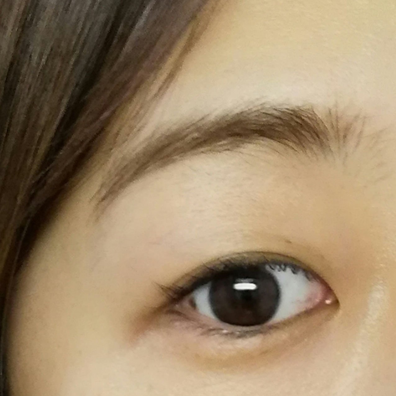 Wアイブロウ ペンシル＆パウダー NB-1/media/パウダーアイブロウを使ったクチコミ（2枚目）