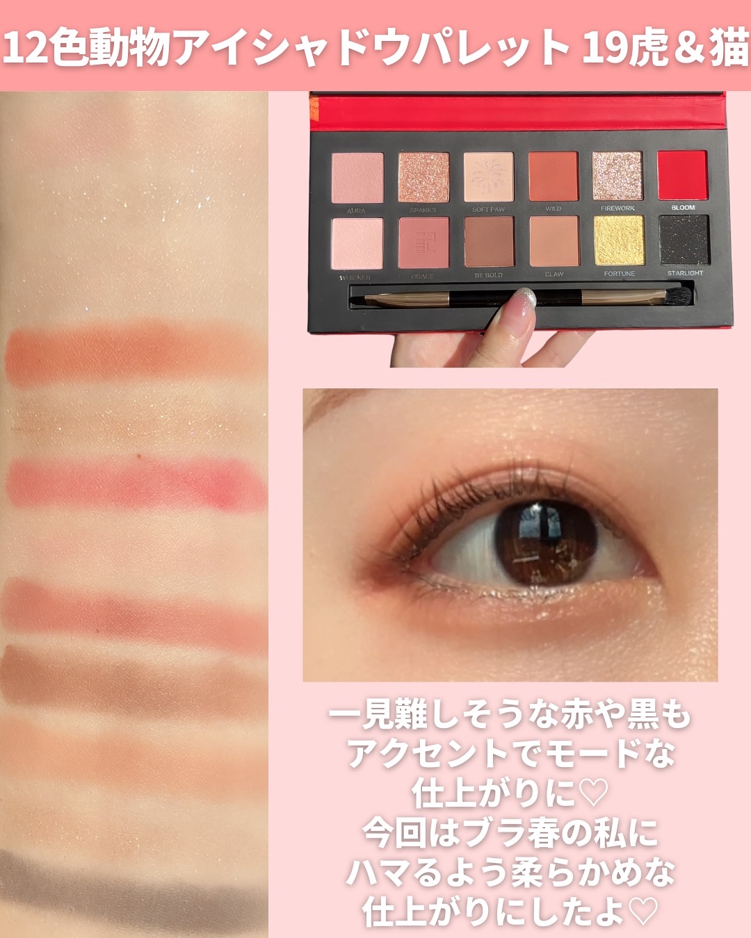 エクスプローラ12色 動物アイシャドウパレット/PERFECT DIARY/アイシャドウパレットを使ったクチコミ（3枚目）