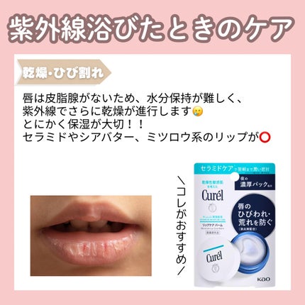 しゃけ on LIPS 「\\リップもUVケアしないと絶対にダメ‼️//唇は他の皮膚と違..」(6枚目)