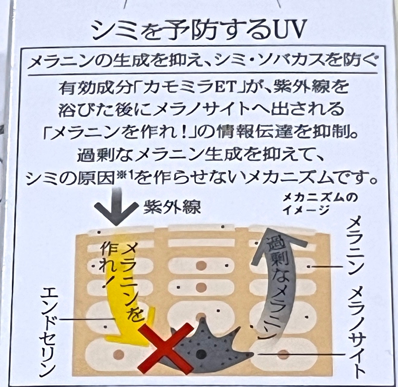 ソフィーナ iP スキンケアUV 03 シミができやすい肌環境 SPF50+PA++++/SOFINA iP/日焼け止めクリームを使ったクチコミ(2枚目)