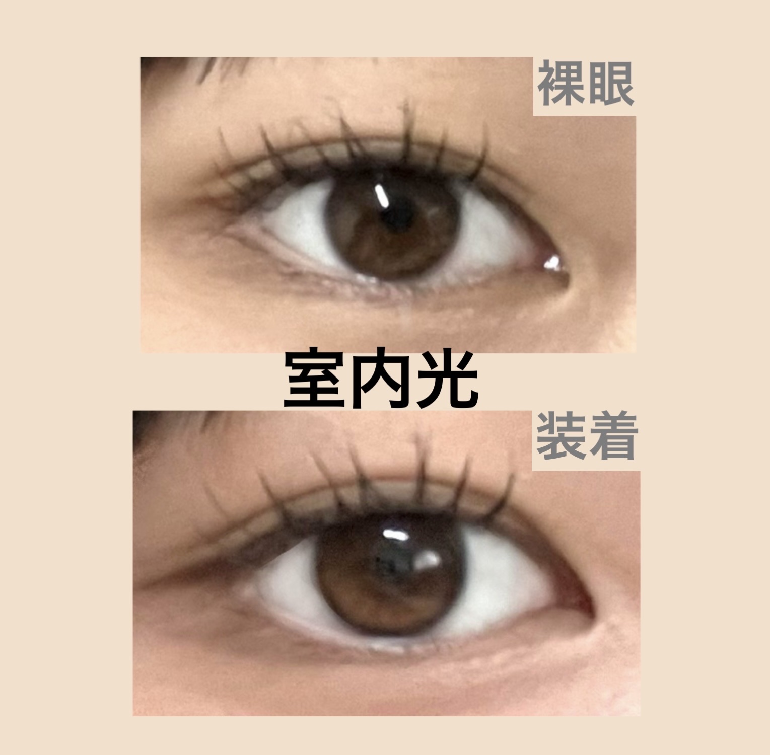 HARNE 1day プディング/HARNE/ワンデー（１DAY）カラコンを使ったクチコミ（3枚目）