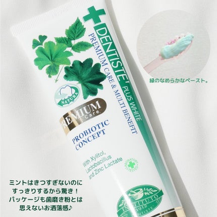 デンティス Pro-B チューブタイプ 100g/デンティス/歯磨き粉の画像