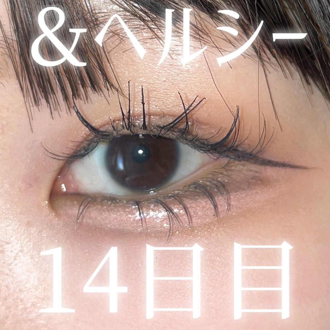 「塗るつけまつげ」自まつげ際立てタイプ/デジャヴュ/マスカラを使ったクチコミ（1枚目）