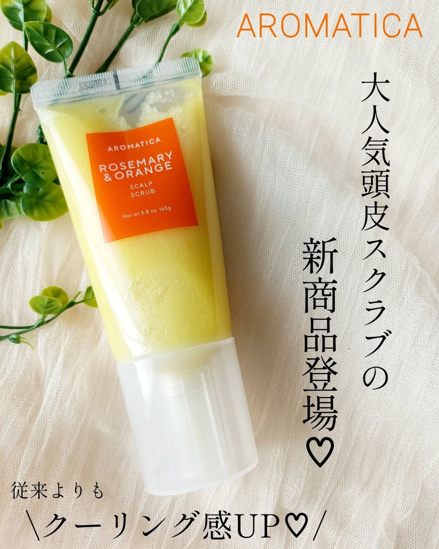 ローズマリー スカルプ スクラブ/AROMATICA/ヘッドスクラブを使ったクチコミ(1枚目)