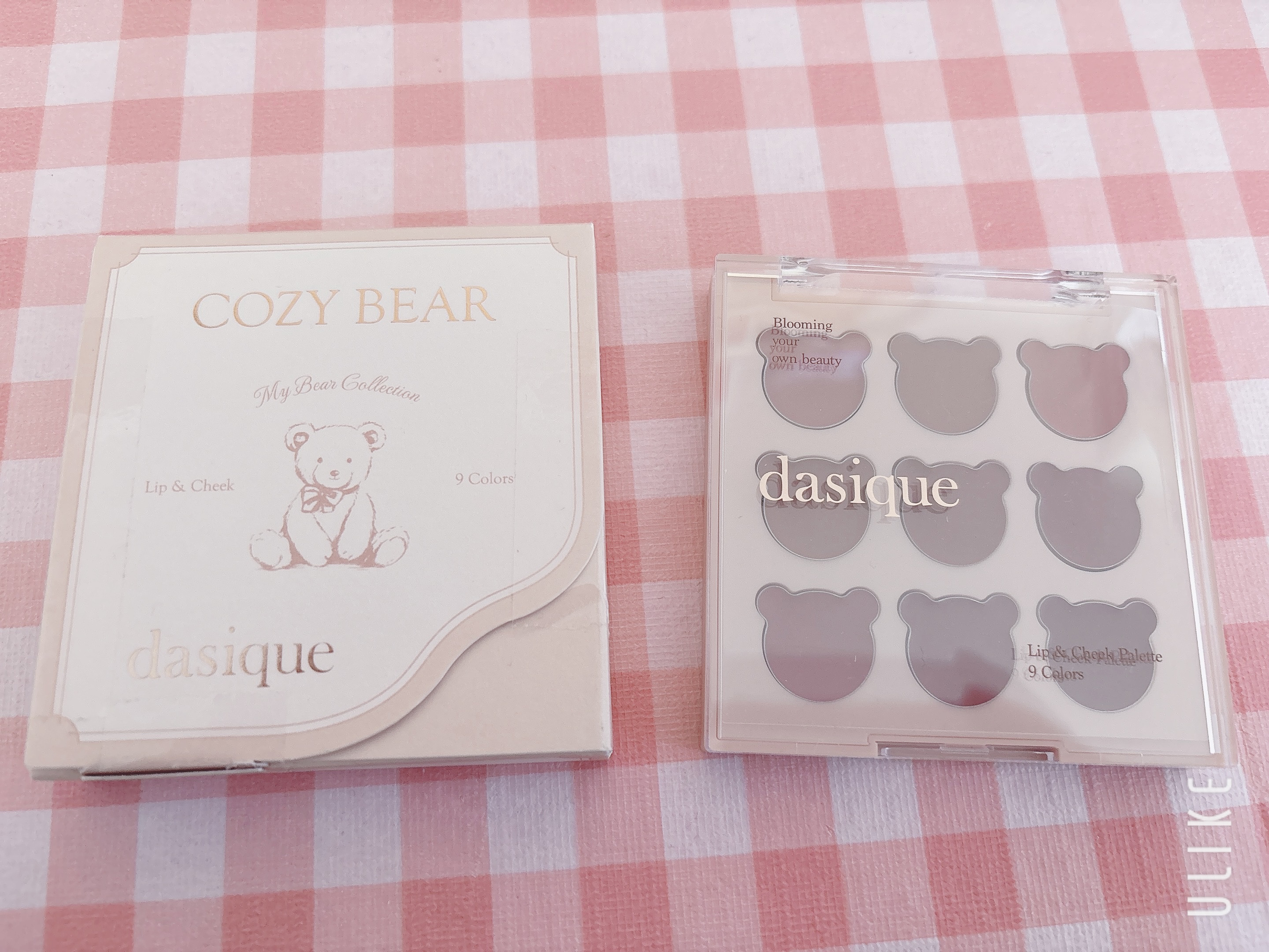 ムードペインティングリップアンドチークパレット 05 コージーベア/dasique/マルチパレットを使ったクチコミ（1枚目）