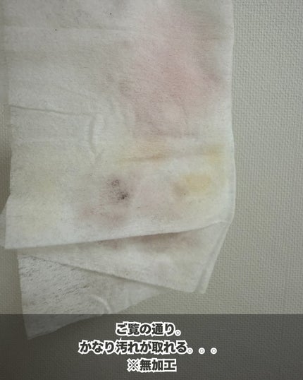 スポンジクリーナーN 198 (L)/SHISEIDO/その他化粧小物を使ったクチコミ(4枚目)