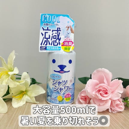 ひんやりシャツシャワー ミント&グレープフルーツの香り/ときわ商会/デオドラント・制汗剤を使ったクチコミ(5枚目)