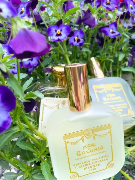 オーデコロン フリージア /サンタ・マリア・ノヴェッラ/香水(レディース)を使ったクチコミ(4枚目)