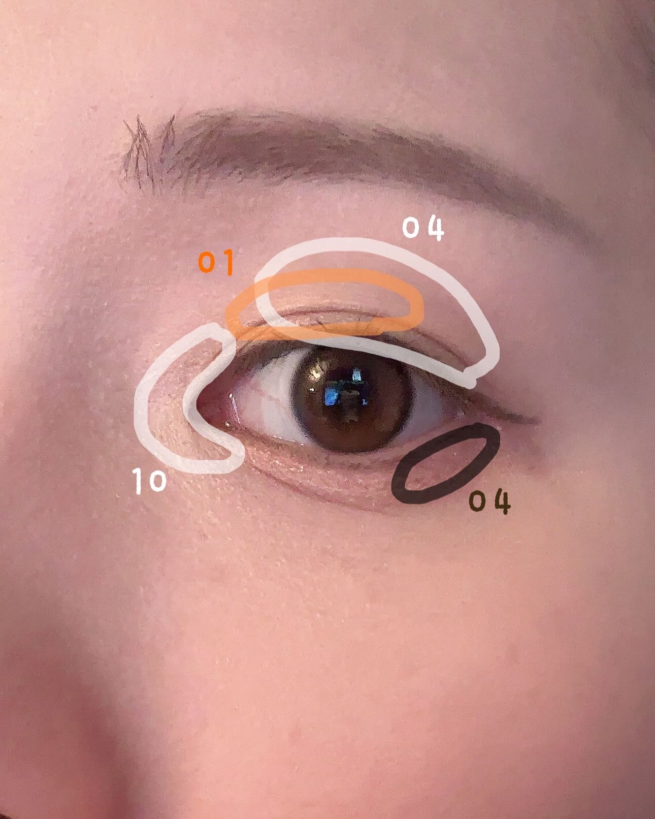 ウインク アイ シェード プライマー/Javin De Seoul/リキッドアイシャドウを使ったクチコミ（3枚目）