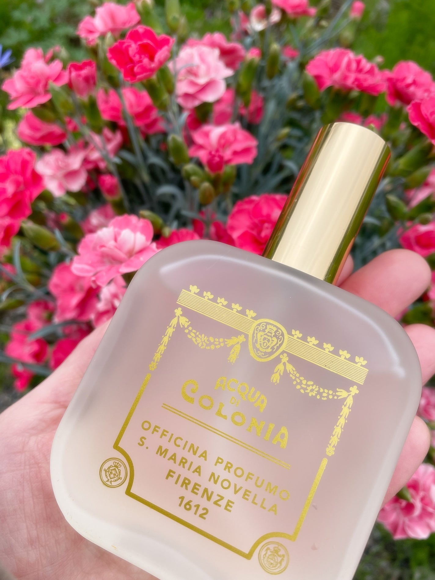 オーデコロン フリージア /サンタ・マリア・ノヴェッラ/香水(レディース)を使ったクチコミ(1枚目)