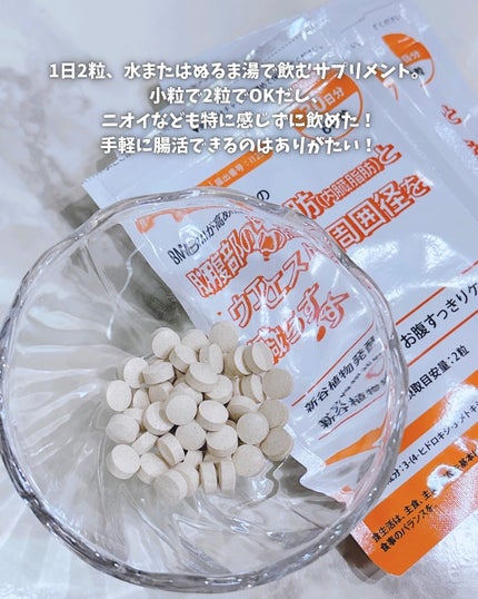 新谷植物発酵お腹すっきりケア/ウェルベスト/健康サプリメントを使ったクチコミ(3枚目)